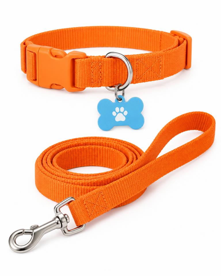 Adventure Collar Set